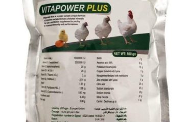 Vitapower plus